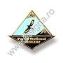 Insigne - imagine 48022